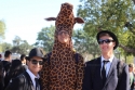 the-blues-brothers-and-giraffe_2_72