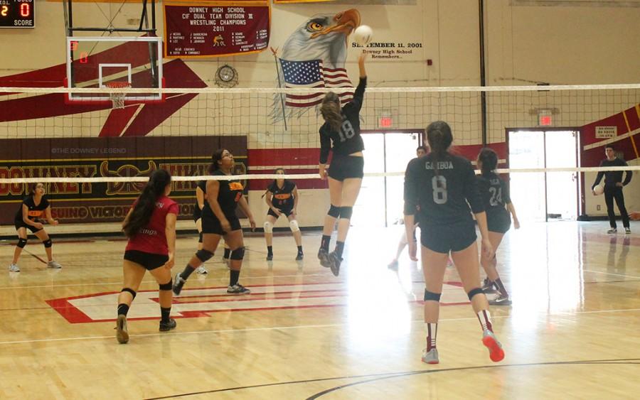 Girls’ Volleyball Dominate Dominguez – The Downey Legend